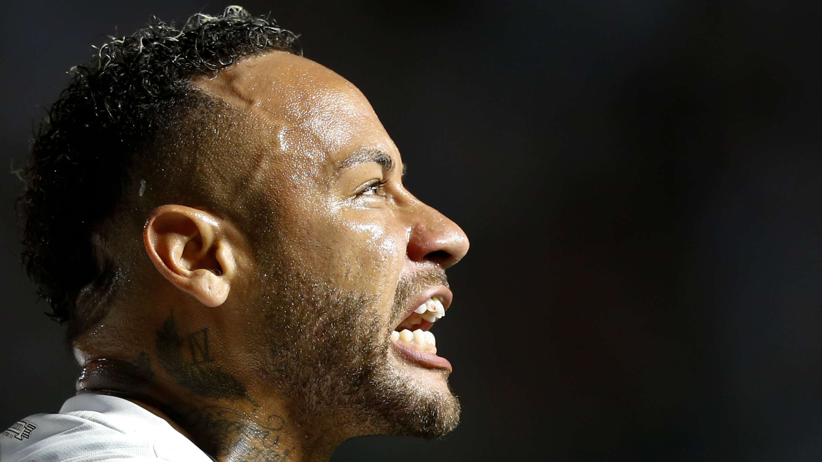 仅反映了社 仅反映了社